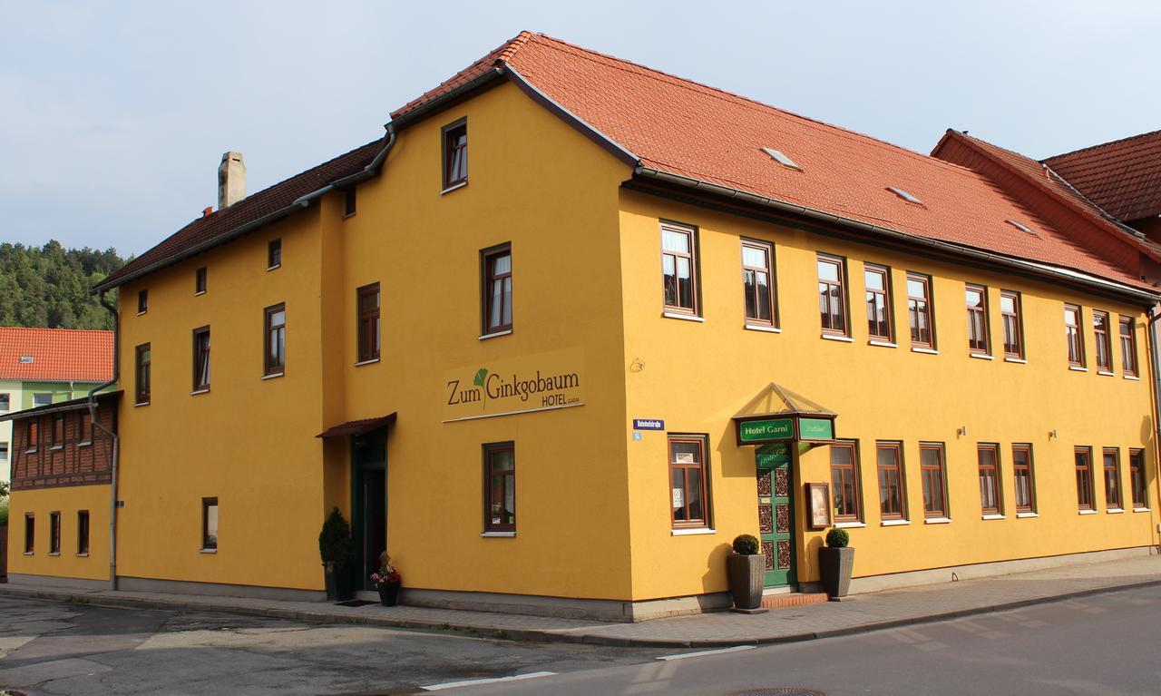 Zum Ginkgobaum Hotel Stadtilm Luaran gambar